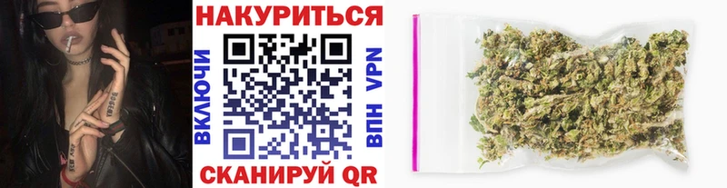 Канабис White Widow  продажа наркотиков  Прохладный 